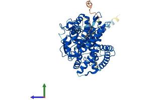 Protein Structure (PS) image for Cytochrome P450, Family 26, Subfamily B, Polypeptide 1 (CYP26B1) (AA 1-512) protein (His tag) (ABIN7553530)