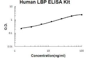 Human LBP PicoKine ELISA Kit standard curve