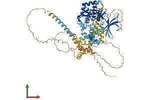 AlphaFold protein structure predicition of Mouse Recombinant Nek11 Protein, UniprotID Q8C0Q4