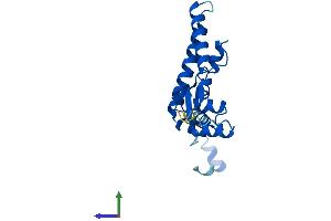 Protein Structure (PS) image for IMP3, U3 Small Nucleolar Ribonucleoprotein (IMP3) (AA 1-184) protein (His tag) (ABIN7548578)