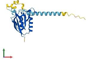 Protein Structure (PS) image for PPPDE Peptidase Domain Containing 1 (PPPDE1) (AA 1-194) protein (His tag) (ABIN7560904)