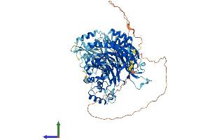 AlphaFold protein structure predicition of Human Recombinant GTF3C4 Protein, UniprotID Q9UKN8 (GTF3C4 Protein (AA 1-822) (His tag))