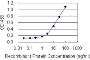 Detection limit for recombinant GST tagged PHF6 is 0. (PHF6 antibody  (AA 1-99))