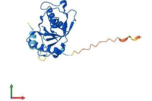 AlphaFold protein structure predicition of Human Recombinant PGPEP1L Protein, UniprotID A6NFU8