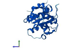 Protein Structure (PS) image for SUMO/sentrin Specific Peptidase Family Member 8 (SENP8) (AA 1-212) protein (His tag) (ABIN7545995)
