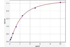 B4GALT5 ELISA Kit