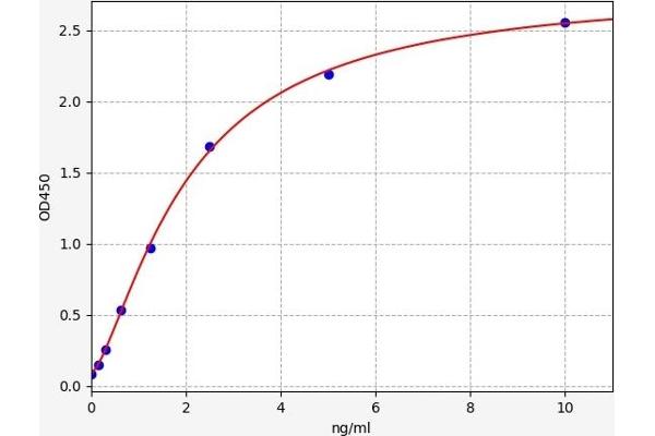 B4GALT5 ELISA Kit