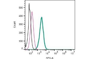 Cell surface detection of Adenosine A1 Receptor by direct flow cytometry in live intact mouse  microglia cell line: + Rabbit IgG Isotype Control-FITC (ABIN7582044).
