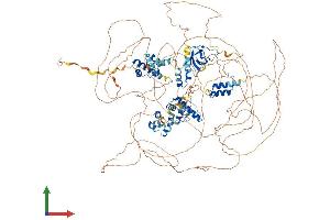 Protein Structure (PS) image for SAM and SH3 Domain Containing 1 (SASH1) (AA 1-1247) protein (His tag) (ABIN7555358)