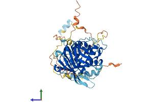 Protein Structure (PS) image for Ubiquitin Specific Peptidase 27, X-Linked (USP27X) (AA 1-438) protein (His tag) (ABIN7544966)