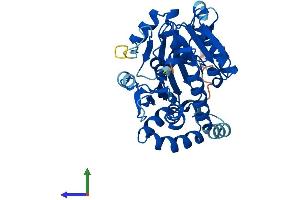 Protein Structure (PS) image for NOP2/Sun Domain Family, Member 3 (NSUN3) (AA 1-340) protein (His tag) (ABIN7549849)