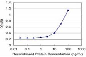 Detection limit for recombinant GST tagged TCEA1 is approximately 1ng/ml as a capture antibody. (TCEA1 antibody  (AA 81-185))