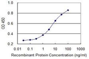 Detection limit for recombinant GST tagged SF3B3 is 0. (SF3B3 antibody  (AA 819-929))