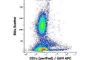 Flow cytometry surface staining pattern of human peripheral whole blood stained using anti-human CD1c (L161) purified antibody (concentration in sample 0,33 μg/mL, GAM APC). (CD1c antibody)