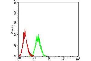 Flow cytometric analysis of Ramos cells using CD16 mouse mAb (green) and negative control (red). (CD16 antibody  (AA 17-208))