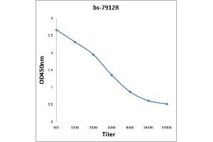 Antigen: 0. (GAK antibody  (AA 244-330))