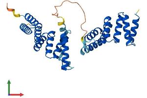 Protein Structure (PS) image for Translocase of Outer Mitochondrial Membrane 34 (TOMM34) (AA 1-309) protein (His tag) (ABIN7544501)