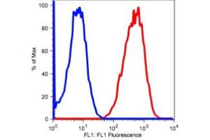 Image no. 2 for anti-CD90 (THY1) antibody (ABIN2704351) (CD90 antibody)