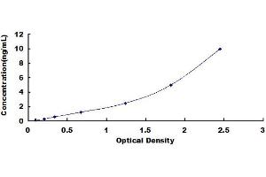 FK506 Binding Protein 4, 59kDa (FKBP4) ELISA Kit