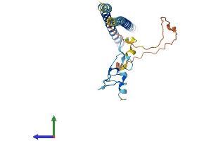 Protein Structure (PS) image for Inhibitor of Growth Family, Member 4 (ING4) (AA 1-249) protein (His tag) (ABIN7554168)