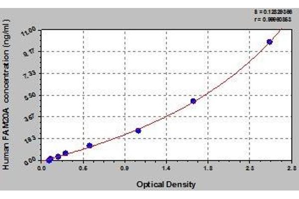 FAM20A ELISA Kit
