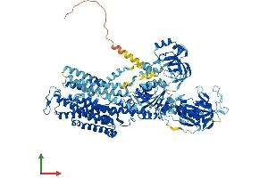 AlphaFold protein structure predicition of Human Recombinant ATP1A4 Protein, UniprotID Q13733