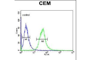 Flow cytometric analysis of CEM cells (right histogram) compared to a negative control cell (left histogram). (AMY1A antibody  (AA 195-223))