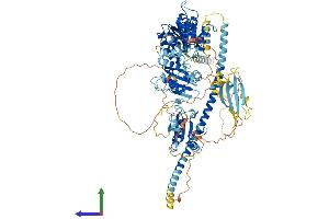 Protein Structure (PS) image for Thioredoxin Domain Containing 11 (TXNDC11) (AA 1-948) protein (His tag) (ABIN7564641)