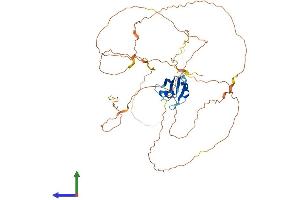 AlphaFold protein structure predicition of Human Recombinant RBMY1A1 Protein, UniprotID P0DJD3 (RBMY1A1 Protein (AA 1-496) (His tag))