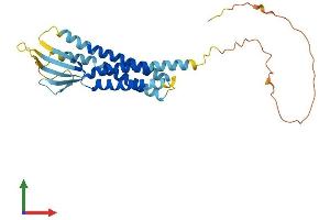 AlphaFold protein structure predicition of Human Recombinant CACNG5 Protein, UniprotID Q9UF02 (CACNG5 Protein (AA 1-275) (His tag))
