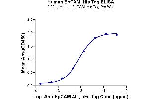 Immobilized Human EpCAM, His Tag at 0. (EpCAM Protein (AA 24-265) (His tag))