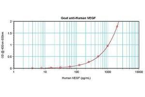 Image no. 3 for anti-Vascular Endothelial Growth Factor A (VEGFA) antibody (ABIN465469)
