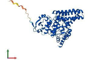 AlphaFold protein structure predicition of Mouse Recombinant Fads1 Protein, UniprotID Q920L1