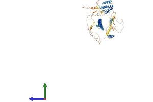 AlphaFold protein structure predicition of Human Recombinant CEP95 Protein, UniprotID Q96GE4 (CEP95 Protein (AA 1-821) (His tag))