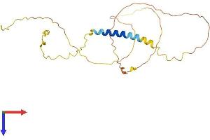 AlphaFold protein structure predicition of Human Recombinant MGARP Protein, UniprotID Q8TDB4 (C4orf49 Protein (AA 1-240) (His tag))