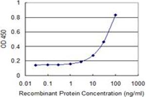 Detection limit for recombinant GST tagged MUSK is 1 ng/ml as a capture antibody. (MUSK antibody  (AA 301-400))