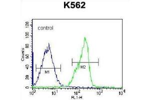 Flow Cytometry (FACS) image for anti-Zinc Finger Protein 146 (ZNF146) antibody (ABIN5016317) (ZNF146 antibody)
