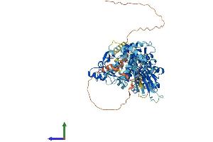 AlphaFold protein structure predicition of Human Recombinant CAPN3 Protein, UniprotID P20807
