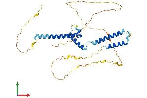 Protein Structure (PS) image for Hairy/enhancer-of-Split Related with YRPW Motif-Like (HEYL) (AA 1-328) protein (His tag) (ABIN7548243)