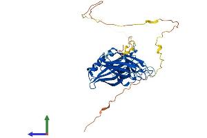 AlphaFold protein structure predicition of Mouse Recombinant Doc2b Protein, UniprotID P70169 (DOC2B Protein (AA 1-412) (His tag))
