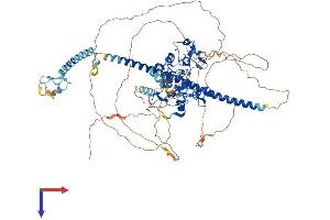 AlphaFold protein structure predicition of Human Recombinant UNK Protein, UniprotID Q9C0B0 (UNK Protein (AA 1-810) (His tag))