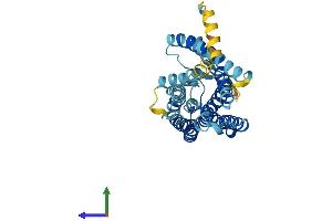AlphaFold protein structure predicition of Human Recombinant OR2G2 Protein, UniprotID Q8NGZ5 (OR2G2 Protein (AA 1-317) (His tag))