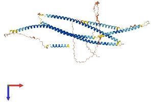 AlphaFold protein structure predicition of Human Recombinant GOLGA8N Protein, UniprotID F8WBI6 (GOLGA8N Protein (AA 1-632) (His tag))