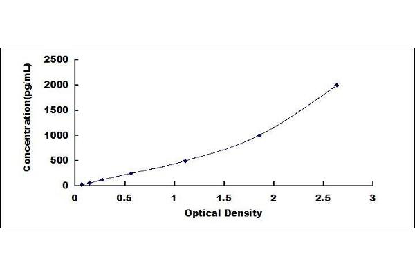 MMP3 ELISA Kit