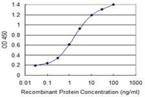 Detection limit for recombinant GST tagged GSTM2 is 0. (GSTM2 antibody  (AA 90-189))