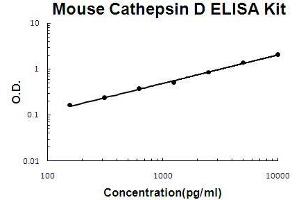 Mouse Cathepsin D PicoKine ELISA Kit standard curve (Cathepsin D ELISA Kit)