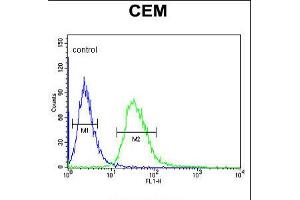Flow cytometric analysis of CEM cells (right histogram) compared to a negative control cell (left histogram).