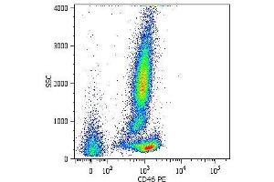 Surface staining of human peripheral blood cells with anti-CD46 (MEM-258) PE. (CD46 antibody  (APC))