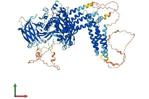 AlphaFold protein structure predicition of Human Recombinant INPP4A Protein, UniprotID Q96PE3