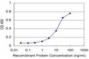 Detection limit for recombinant GST tagged MAPK3 is approximately 1ng/ml as a capture antibody. (ERK1 antibody  (AA 279-379))